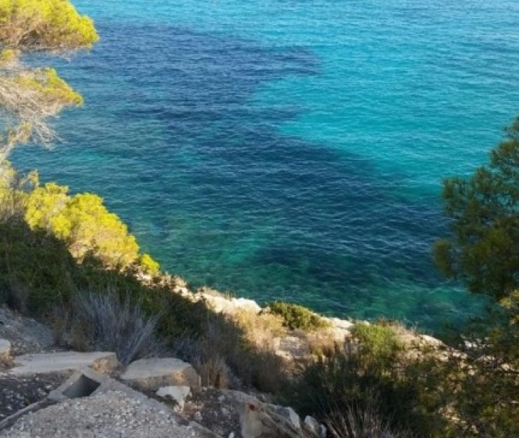 actividad_playa (18)